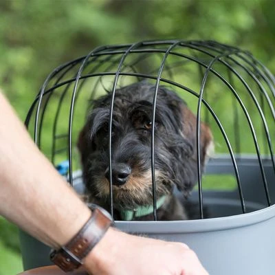 Trixie Friends On Tour Bicycle Basket For Luggage Rack - Image 5
