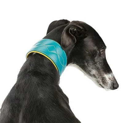 Trixie Active Comfort Collar For Sighthounds - Image 3
