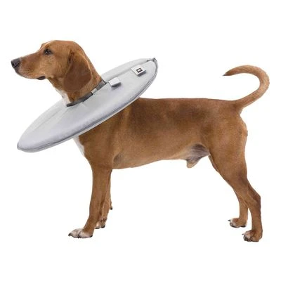 Trixie Protective Collar - Image 4