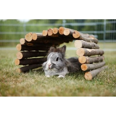 Trixie Bridge - Image 2