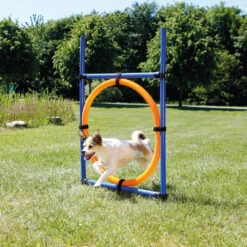 Trixie Dog Agility Ring, Orange/Blue
