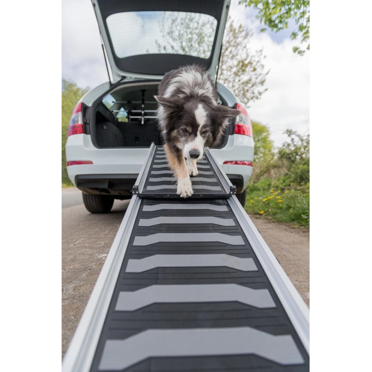 TRIXIE 69-in Heavy Duty Telescoping Dog Ramp, Silver/Black - Image 2