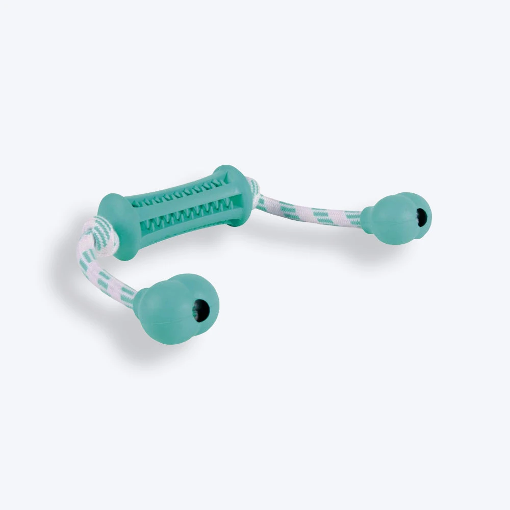 Trixie Denta Fun Stick With Rope Chew Toy For Dogs - Mint Green - Image 2