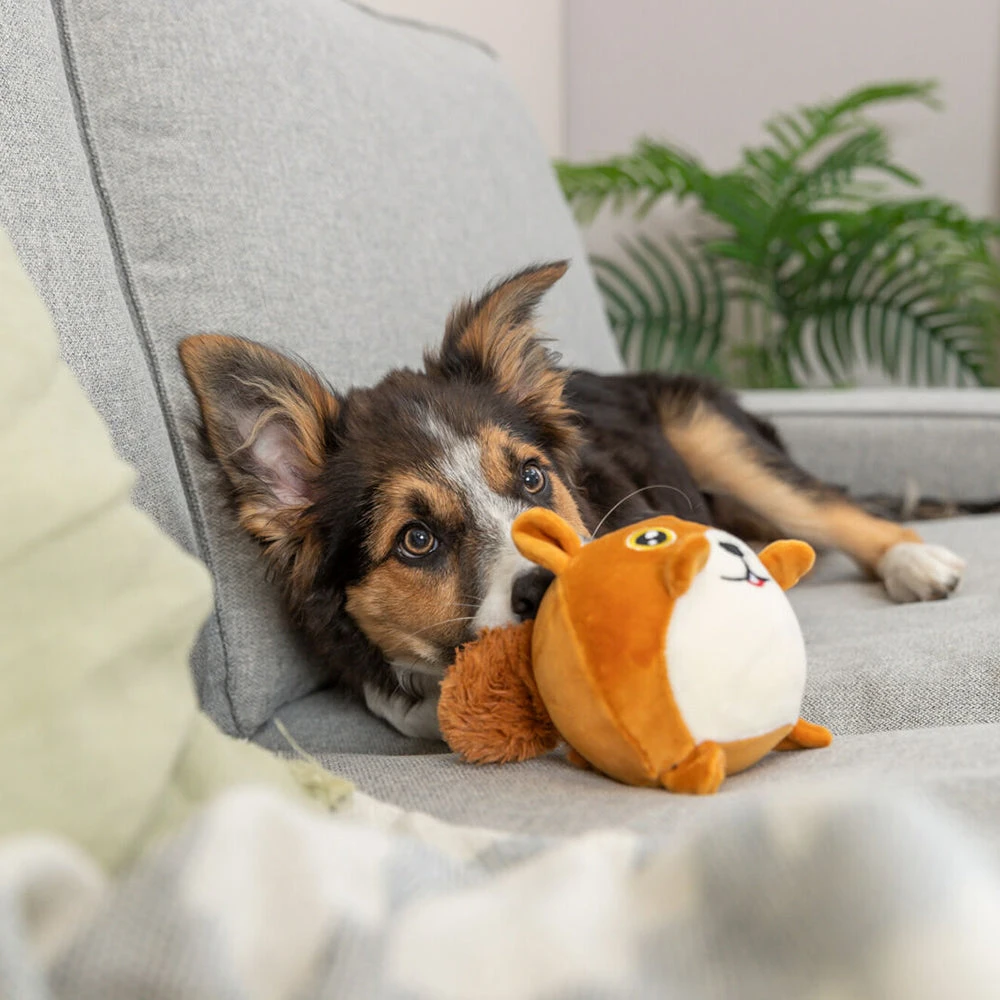 Trixie Squirrel Plush Dog Toy - Brown & White - 13 Cm - Image 4