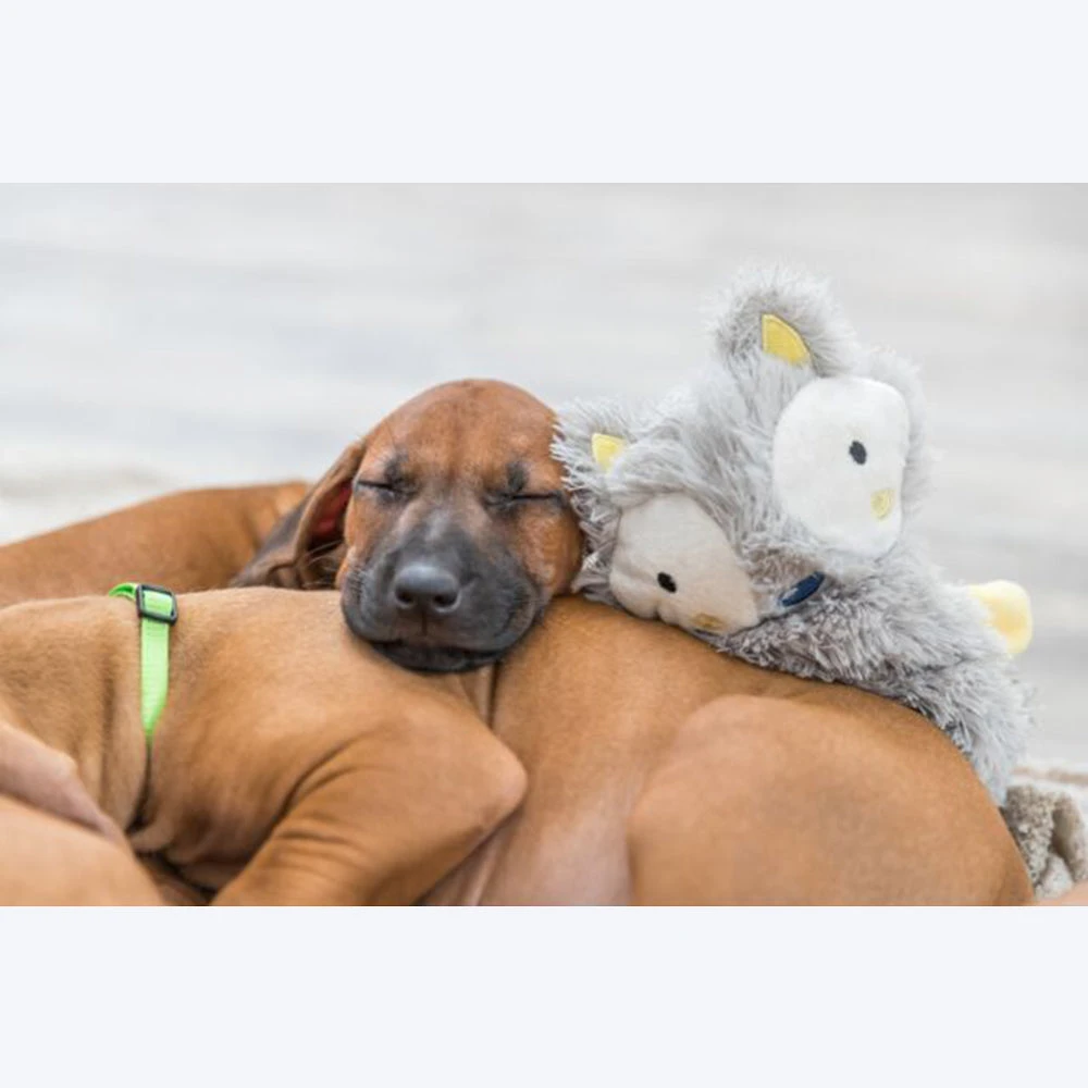 Trixie Junior Dangling With Rustling Foil Plush Dog Toy - Assorted - 33 Cm - Image 9