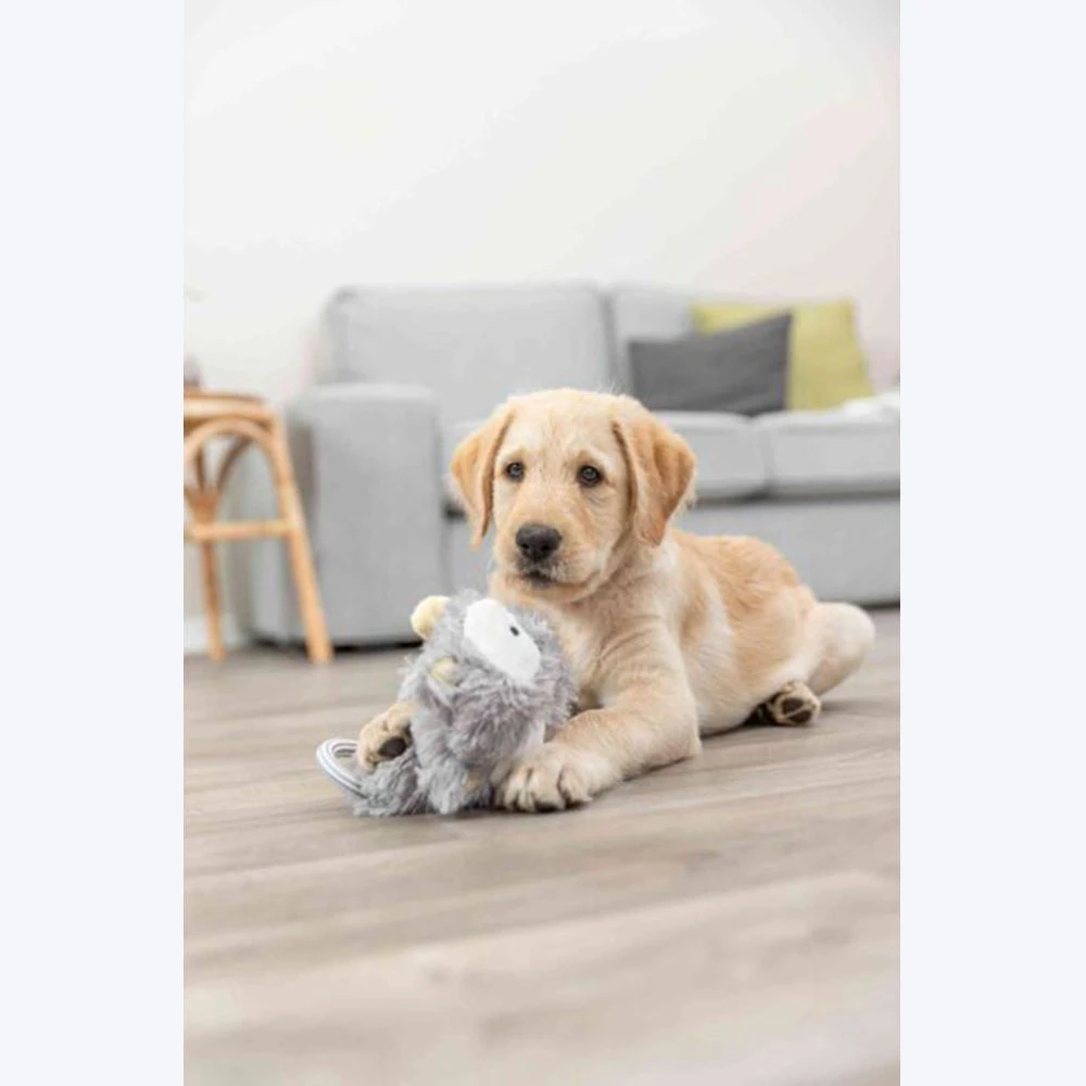 Trixie Junior Dangling With Rustling Foil Plush Dog Toy - Assorted - 33 Cm - Image 7