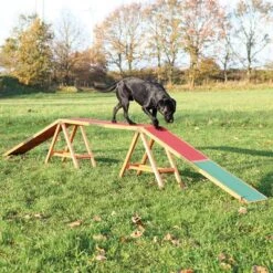 Trixie Dog Agility Bridge