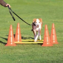 Trixie Dog Agility Obstacles - Pylon And Poles