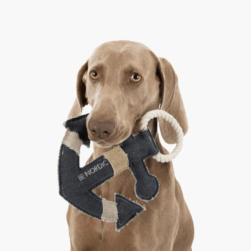 Trixie BE NORDIC Anchor Dog Toy - Image 7
