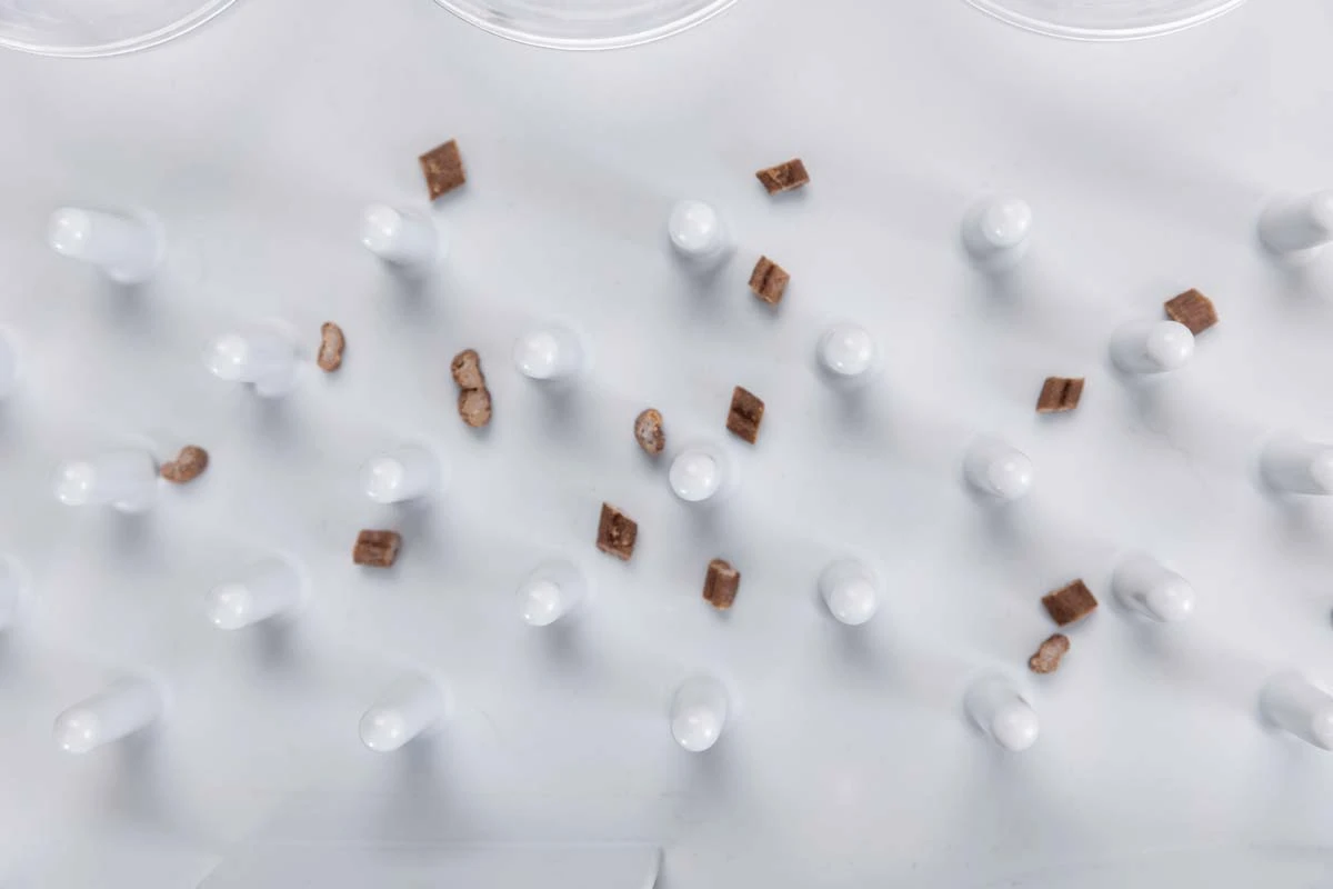 Trixie Fun Board XXL Cat Strategy Game - Image 4