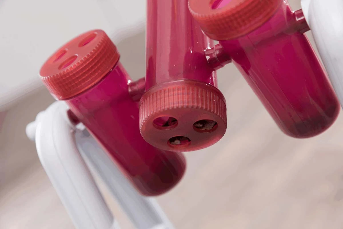 Trixie Turn Around Cat Strategy Game - Image 3